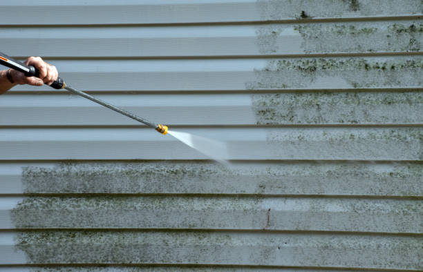 Best Affordable Pressure Washing  in Walled Lake, MI