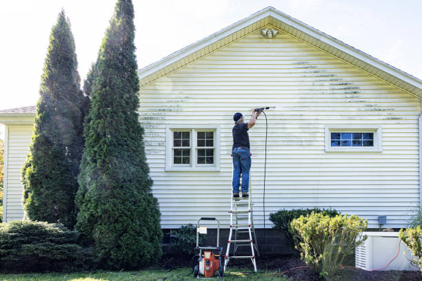 Local Pressure Washing Services in Walled Lake, MI